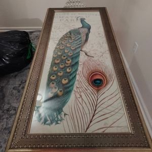 Peacock Paris picture